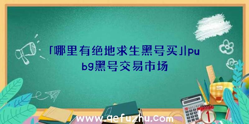 「哪里有绝地求生黑号买」|pubg黑号交易市场